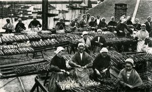 Sardinindustri, Finistère, Bretagne (s/h-foto) af Unknown photographer