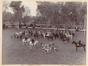 Peshawar Vale Jagt