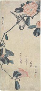 (Fugl på Camellia), begyndelsen af det 19. århundrede