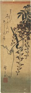 (Fugl på Wisteria Branch)