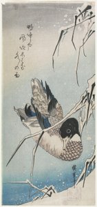 (Duck and Snowy Reeds), begyndelsen af 1830