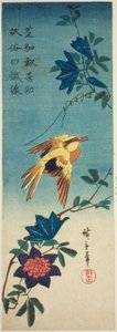 (Faksimile?) Sortnavet oriole og klematis af Utagawa Hiroshige