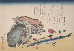 Abalone, Halvnæb og Fersken blomstrer