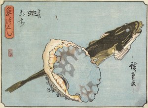 Abalone og fladhoved, 1830-1844