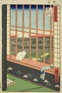 Asakusa lycee Fie lds plan d by feschival (Asakusa rismarksfangstby ​​er også opført), fra serien "Ridge d re d fa net udsigt til Edo (berømt sted 100 udsigt over Edo)" af Utagawa Hiroshige