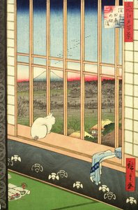 Asakusa Rice Fields under Cock-festivalen fra serien 