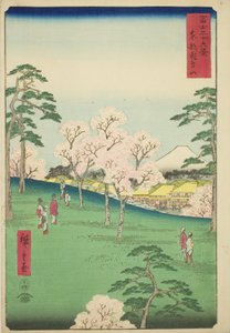 Asuka Hill i den østlige hovedstad (Toto Asukayama), fra serien "Seksogtredive udsigter over Mount Fuji (Fuji sanjurokkei)" af Utagawa Hiroshige