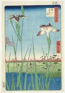BM.Cat.440 Irises at Horikin, nr. 56 i serien "100 Views of Edo", ("Meisho Edo hyakkei"), udg. 1857, (farvetryk i træsnit)