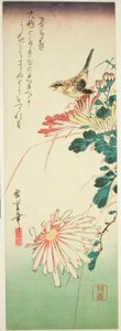 Fugl og krysantemum af Utagawa Hiroshige