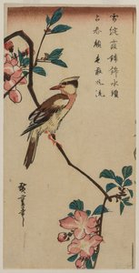 Black-Naped Oriole (Korean Warbler) på en Hall Crabapple af Utagawa Hiroshige