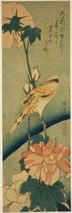 Sort-navet oriole på hibiscus af Utagawa Hiroshige