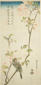 Bullfinch på aroniagren af Utagawa Hiroshige
