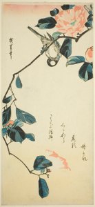 Bullfinch på kameliagren af Utagawa Hiroshige