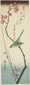 Busksanger på blommegren af Utagawa Hiroshige
