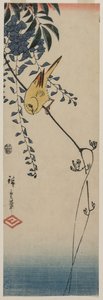 Canary og Wisteria af Utagawa Hiroshige