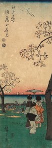 Kirschblüten am Goten-yama af Utagawa Hiroshige