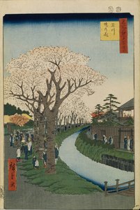 Kirsebærblomster på bredden af Tama-floden Hundrede berømte udsigter over Edo, 1856-1858 af Utagawa Hiroshige
