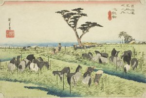 Chiryu: Early Summer Horse Market (Chiryu, shuka uma ichi), fra serien "Fifty-three Stations of the Tokaido (Tokaido gojusan tsugi no uchi)," også kendt som Hoeido Tokaido af Utagawa Hiroshige