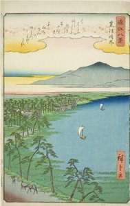 C wear hayashi g ware er at ikke matchende (ikke matchende kønskolonne), fra serien ``English ght view ws of you (se otte visninger)