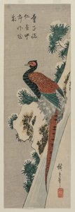 Kobberfasan ved snedækket vandfald af Utagawa Hiroshige