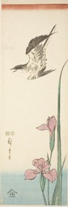 Gøg og iris af Utagawa Hiroshige