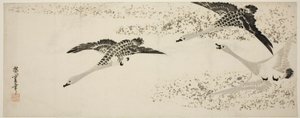 Nedstigende gæs af Utagawa Hiroshige