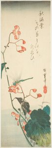 Dragonfly og begonia af Utagawa Hiroshige