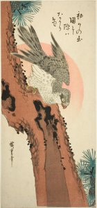 Falk på et fyrretræ med den opgående sol af Utagawa Hiroshige