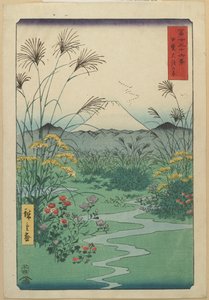 Mark ved O_tsuki i Kai-provinsen, april 1858
