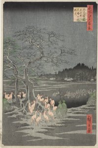 Rævebål nytårsaften ved det skiftende træ i Oji (Oji shozoku enoki omisoka no kitsunebi), fra serien "Hundrede berømte udsigter over Edo (Meisho Edo hyakkei)" af Utagawa Hiroshige