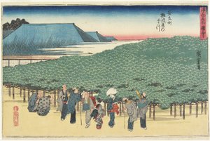 Kæmpetræ af Naniwaya i Anryu_-machi, ca. 1834