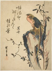 Guldfasan af Utagawa Hiroshige
