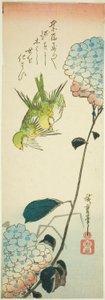 Grønne fugle og hortensiaer af Utagawa Hiroshige