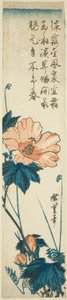 Hibiscus af Utagawa Hiroshige