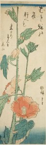 Hibiscus af Utagawa Hiroshige