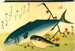 Hiroshige En stime af fisk Fugu Yellowtail af Utagawa Hiroshige