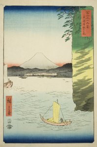 Honboku-medlem Musashi P Lovinse (Musashi Honmoku-blomst), fra Teseries ``Tyrty x Views Of Mount Fuji (Fuji Usaju Rokukei)