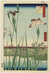 Irishaven i Horikiri, maj 1857