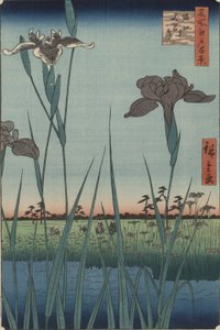 Irises of Horikiri, fra serien One Hundred Famous Views of Edo af Utagawa Hiroshige