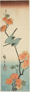 Japanske hvide øjne på en ahorngren af Utagawa Hiroshige