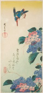 Isfugl og hortensia af Utagawa Hiroshige
