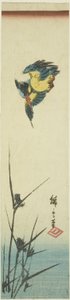Isfugl og siv af Utagawa Hiroshige