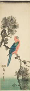Ara på fyrregren af Utagawa Hiroshige