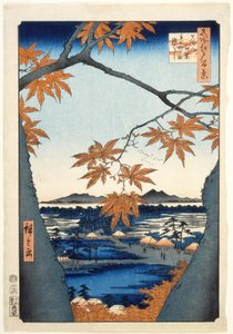  af Utagawa Hiroshige