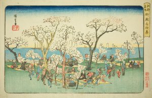 Merrymaking at Goten Hill (Gotenyama yukyo), fra serien "Famous Places in Edo (Koto meisho)" af Utagawa Hiroshige