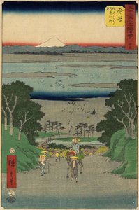 Nr.25 O-i floden, Kanaya, juli 1855