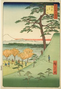 Original l Fuji, Meguro (Meguro Motofuji), fra seriens ``Ridge for ridge d re d fa net s views of Edo (One hundred famous views of Edo)