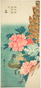 Påfugl og pæoner af Utagawa Hiroshige