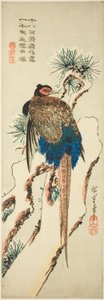 Fasan på et snedækket fyrretræ af Utagawa Hiroshige