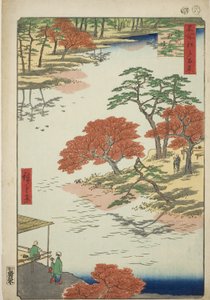 Precincts of Akiba Shline, når de modtager (i området af Akiba, når de modtager), fra serien ``Ridge for ridges of nets views of Edo (One Hundred Famous Views of Edo)